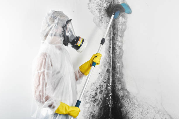  Shannon Hills, AR Mold Removal Pros