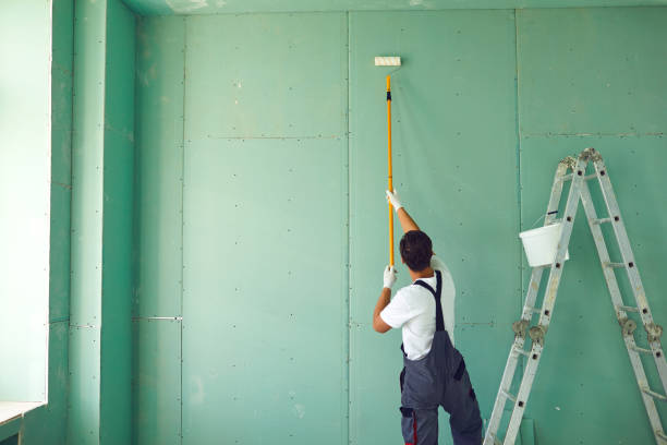 Best Post-Construction Mold Inspection  in Shannon Hills, AR