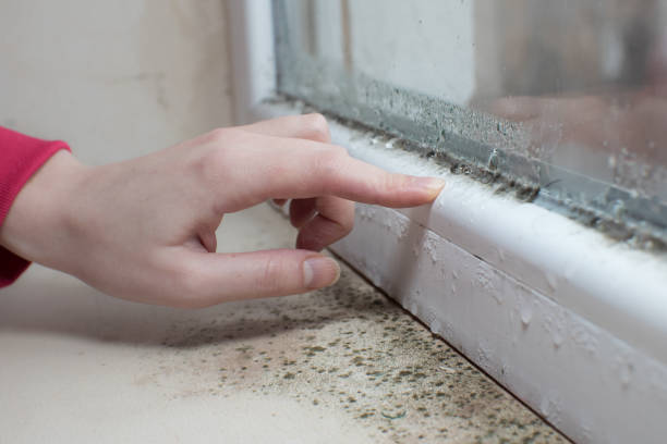 Best Mold Remediation for Healthcare Facilities  in Shannon Hills, AR