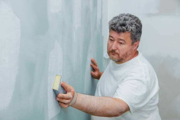 Best Basement Mold Removal  in Shannon Hills, AR
