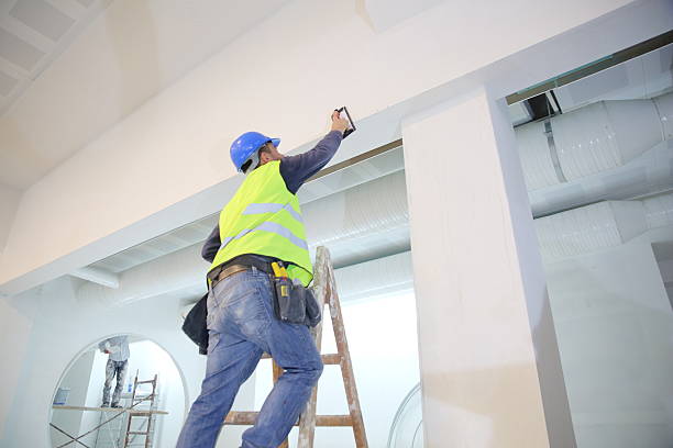 Best Mold Odor Removal Services  in Shannon Hills, AR